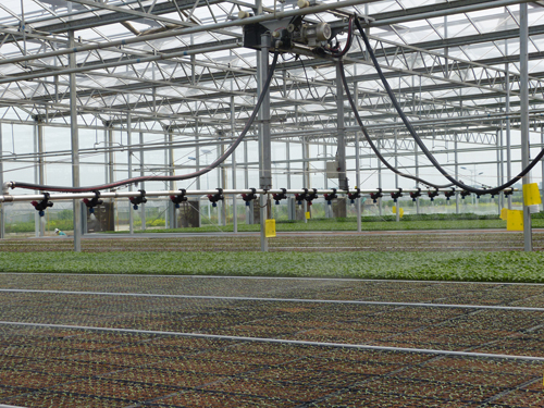 自動(dòng)噴灌系統(tǒng)