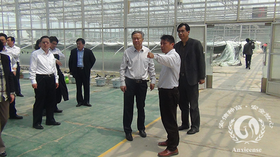 歡迎濟南市政法委李書記到安信西瓜苗基地指導工作