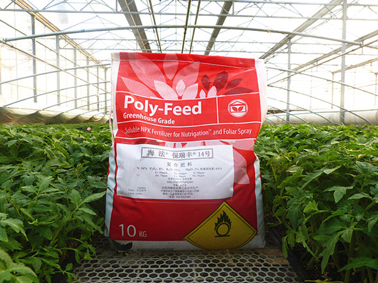 以色列海法·保瑞豐14號