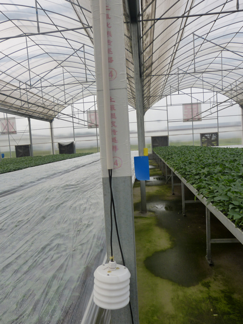 二氧化碳傳感器 二氧化碳傳感器