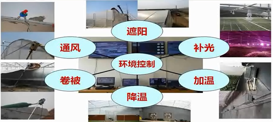 先進(jìn)的育苗技術(shù)及育苗設(shè)施-安信種苗