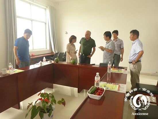 談?wù)摕o(wú)籽西瓜的果品