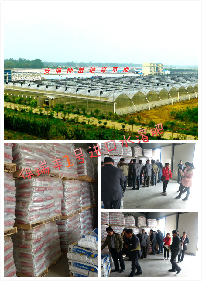 以色列海法保瑞豐2號進(jìn)口水溶肥全國總代理