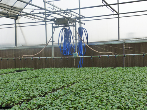 移動(dòng)噴灌車(chē)