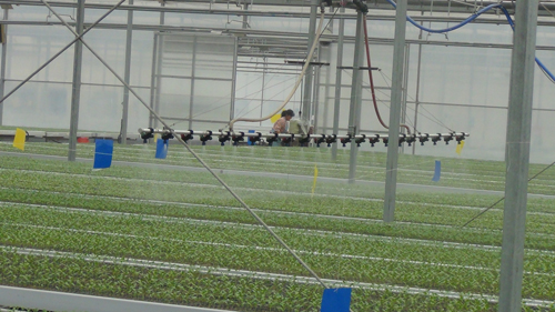 自動(dòng)噴灌系統(tǒng)